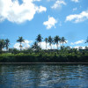 A student studying abroad with Broadreach: Program at Sea - Fiji Shark Studies