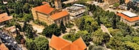 American University of Beirut: Beirut - Direct Enrollment & Exchange
