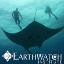 Study Abroad Reviews for Earthwatch: Australia - Project Manta