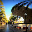 USAC: Alicante - Spanish Language and European Studies Photo