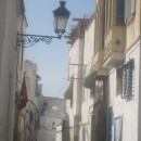 AMIDEAST: Tunis - Learn & Serve, Summer Photo