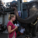 Study Abroad Programs in India Photo