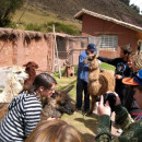 University of Northern Iowa: Arica - Culture and Intensive Spanish Program (CISP) Photo