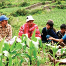 Study Abroad Reviews for MESA: -  Peru Summer Program in Global Agroecology and Local Food Systems