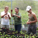 Study Abroad Reviews for ProjectsAbroad: Galapagos - Volunteer and Community Service Programs in Galapagos