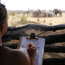 Study Abroad Reviews for ProjectsAbroad: South Africa - Volunteer and Community Service Programs in South Africa   
