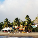 Study Abroad Reviews for UConn: Martinique - UConn Winter in Martinique