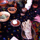 Study Abroad Reviews for UC San Diego Global Seminars: Athens - Drugs, Behavior, and the History of Neuroscience in Greece