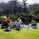Study Abroad Reviews for Universidad de Santiago de Compostela: Spanish Language Courses and Cross-Cultural Programs