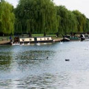 Study Abroad Reviews for University of California, Los Angeles: Avon and London - English Shakespeare
