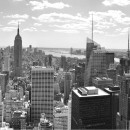 Study Abroad Reviews for General Assembly: New York - Learn + Intern in Startups/Tech