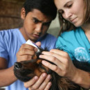 Study Abroad Reviews for Broadreach: Costa Rica - Veterinary Medicine College Summer Program