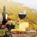 Study Abroad Reviews for WSU Faculty-Led Italy: Food and Wine of Italy