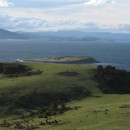 Study Abroad Reviews for Wildlands Studies: The Tasmania Project : Wildlife Management and Ecology