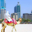 Study Abroad Reviews for KEI Abroad in Ras Al Khaimah, United Arab Emirates