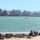 Study Abroad Programs in Argentina Photo
