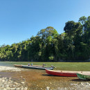 SIT Study Abroad: Panama - Tropical Ecology, Marine Ecosystems, and Biodiversity Conservation Photo
