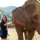 The Education Abroad Network (TEAN): Thailand - Semester in Chiang Mai Photo