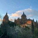 AIFS: Salamanca - University of Salamanca Photo