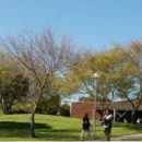 Study Abroad Reviews for Asia Exchange: Study Abroad in New Zealand