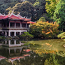 Study Abroad Reviews for A-State Faculty-Led: Fine Arts Visual - Prehistoric to the Present Japan