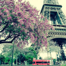 Study Abroad Reviews for New York University, Tisch Study Abroad: Paris - Experimental Production Workshop