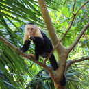 Study Abroad Programs in Costa Rica Photo