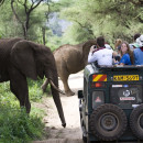 Study Abroad Reviews for The School for Field Studies / SFS: Kenya – Wildlife Studies and Human Dimensions of Conservation