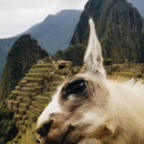 SIT Study Abroad: Peru - Indigenous Peoples and Globalization Photo