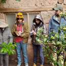 Study Abroad Reviews for Linguistic Horizons: Nutrition & Natural Medicine in Peru