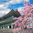 Study Abroad Reviews for CIEE: Seoul - Open Campus Block
