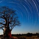 Study Abroad Reviews for CIEE: Semester in Gaborone