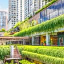 Study Abroad Reviews for CIEE: São Paulo - Sustainable Smart Cities