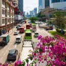 Study Abroad Reviews for CIEE: Singapore - Sustainable Smart Cities