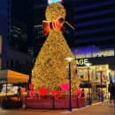 Study Abroad Programs in South Korea Photo