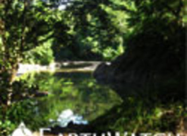 Study Abroad Reviews for Earthwatch: Malaysia - Climate Change & Landscape in Borneo’s Rainforests