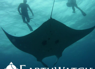 Study Abroad Reviews for Earthwatch: Australia - Project Manta
