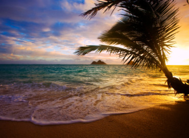 Study Abroad Reviews for CISabroad (Center for International Studies): Honolulu - Intern in Hawai'i