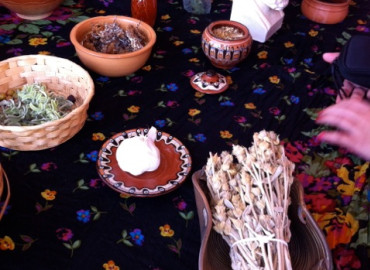 Study Abroad Reviews for UC San Diego Global Seminars: Athens - Drugs, Behavior, and the History of Neuroscience in Greece