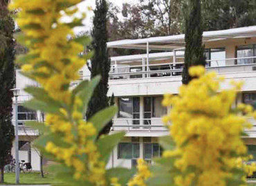 Study Abroad Reviews for Arcadia: Canberra - Australian National University