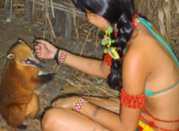 Study Abroad Reviews for CIEE: Salvador - Summer Intensive Language and Culture