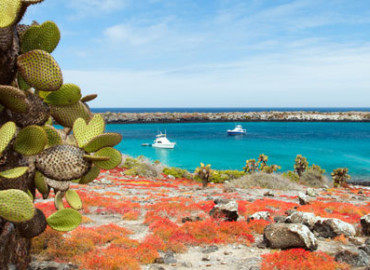 Study Abroad Reviews for AIFS: Galapagos Islands – Universidad San Francisco de Quito