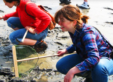 Study Abroad Reviews for CIEE: Groningen - Summer Urban Planning & Society