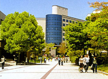 Study Abroad Reviews for Wakayama University: Wakayama - Direct Enrollment & Exchange