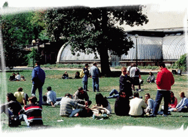 Study Abroad Reviews for Università Carlo Cattaneo - LIUC: Castellanza - Direct Enrollment & Exchange