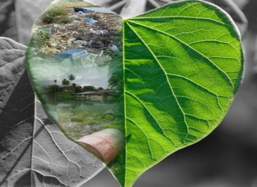 Study Abroad Reviews for Greenleaf Education Costa Rica - Sustainability Programs for Students