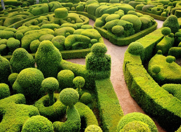 Study Abroad Reviews for NEOMA Business School: Reims - Summer Master-Level Business Program