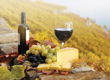 Study Abroad Reviews for WSU Faculty-Led Italy: Food and Wine of Italy