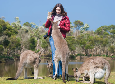 Study Abroad Reviews for World Internships: Australia Internships