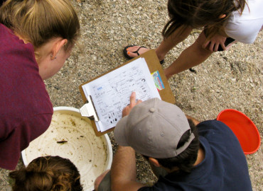 Study Abroad Reviews for Wildlands Studies: The South Africa Project : Oceans, Coasts & Wildlife